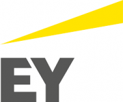 EY Consulting (Ernst & Young)